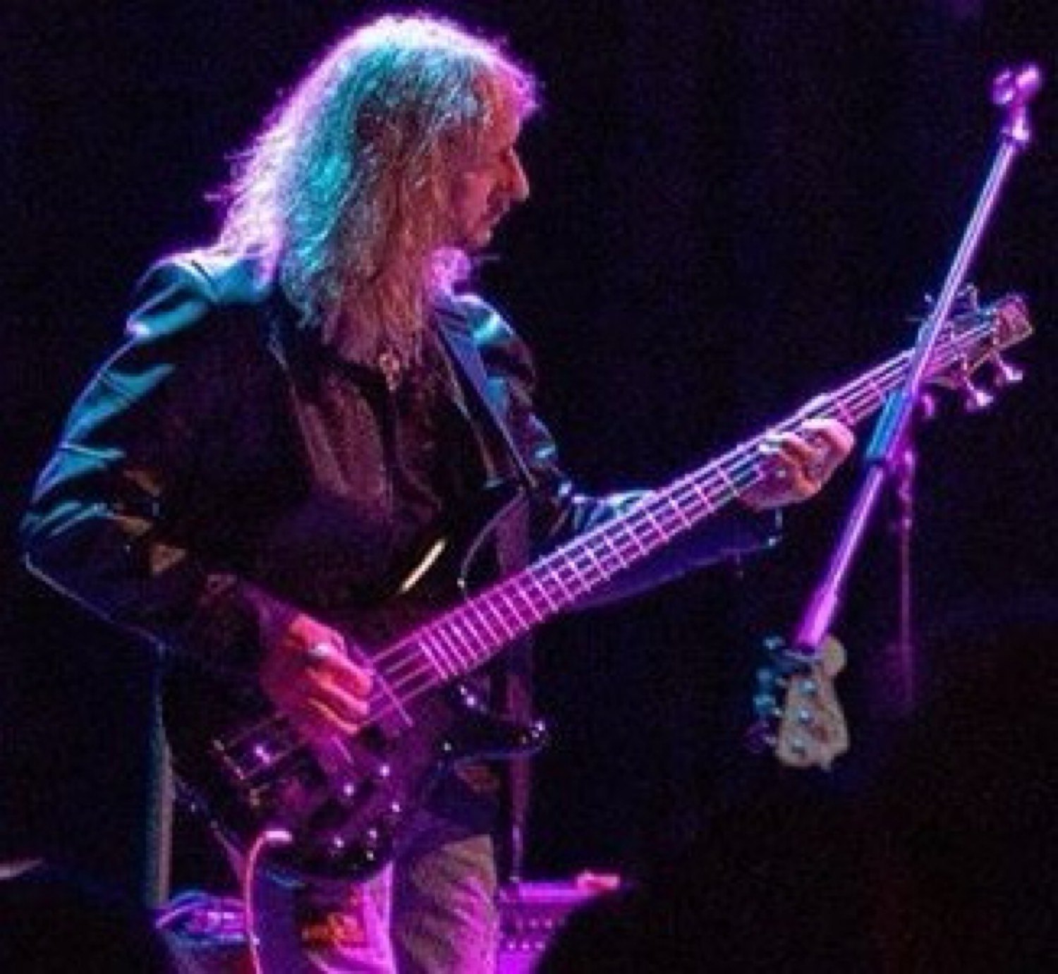 Live — bass under purple lights